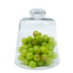 Glass Dome French Dome 17CM H X 15CM W - 17CM H X 15CM W