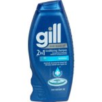 Gill Anti-dandruff 2-IN-1 Conditioning Shampoo Normal 400ML