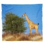 Giraffe On Horizon Light Weight Fleece By Fanie Heymans