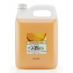 Premium Dishwashing Liquid - 5L
