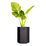Modul Planter - Textured Black Large