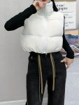 Solid Color Zipper Cropped Vest Causal Sleeveless Stand Collar Vest For Fall & Winter Women's Clothing