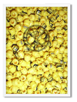 Decor Print Superhero Yellow Heads - Unframed Print A4