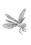 Dragonfly Single Line Art Print - A4