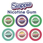 Slapple Nicotine Gum 2MG Each