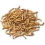 Dried Mealworms - 2 X 5KG