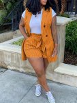 Plus Size Casual Outfits Two Piece Set Women's Plus Stripe Print Double Button Lapel Collar Vest Blazer & Shorts With Belt Outfi