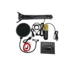 Professional Podcast Condenser Microphone With Sound Card Set Q-SK8