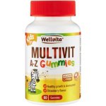 Wellvita Kids Multivitamin A-z Gummies 60S