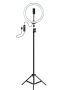 10 Ring Light With 2M Tripod