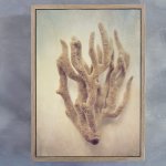 Gifts Of The Sea 4 Art Print - A3 Framed Canvas With Natural Wood Frame