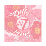 Pretty Peony Face Palette 8.8G