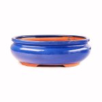 Assorted Glazed Bonsai Pots 12" - Blue Oval 31 X 25 X 8CM