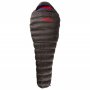 Amplify First Ascent Down Light