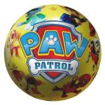 Paw Patrol Large Pvc Ball