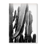 Fat Cactus Art Print - A3