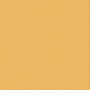 Text. Cardstock - Mustard/topaz 12X12 216GSM 10 Sheets