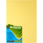 A4 Pastel Project Boards 10-PACK