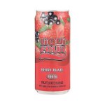 Liqui-fruit Long Life Berry Blaze 300ML