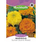 Kirchhoff’s Picture Packet Flower Seeds Marigold Crackerjack Mix