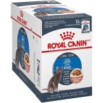 Royal Canin Feline Wet Food Ultra Light Pouch Box Of 12