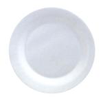 Foam Picnic Plates Sinica