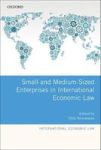 Small And Medium-sized Enterprises In International Economic Law Hardcover