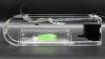 Flymen Fly Tester - Xplorer Fly Fishing