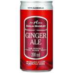 Ginger Ale 200ML - 6
