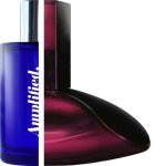 Calvin Klein - Deep Euphoria Impression Amplified