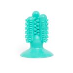 Dental Chew Toy
