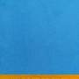 Plain Polar Fleece (Sky-Blue) #15
