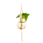 Macrame Hanger 15CM Fishbowl