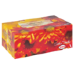 2 Ply Facial Tissues 200 Pack