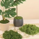 Simulated Moss Lawn For Christmas Decor: Green Plant Lawn Potted Plant Window Decorative Landscape Design