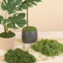 Simulated Moss Lawn For Christmas Decor: Green Plant Lawn Potted Plant Window Decorative Landscape Design