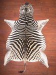 A Grade Zebra Hide 027 L