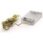 Dandashop.co.za 5MT LED Copperwire Stringlight