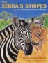 The Zebra&  39 S Stripes And Other African Animal Tales   Paperback Nuwe Uitgawe