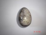 Ocean Jasper Stone Egg SSP94