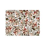 Santa Claus His Furry Friends Placemats