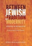 Between Jewish Tradition And Modernity - Rethinking An Old Opposition Essays In Honor Of David Ellenson Hardcover
