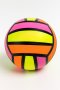 Active Size 5 Official Premium Volleyball