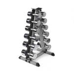 Alphastate Chrome Dumbbell Set + Pyramid