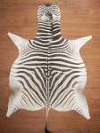 A Grade Zebra Hide 059 L