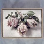 Pale Proteas 4 Art Print - A1 Framed Canvas With Natural Wood Frame