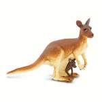 Kangaroo With Baby By