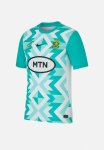 Nike Springboks Men's Stadium Fan Away Jersey - White hyper Jade