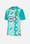 Nike Springboks Men's Stadium Fan Away Jersey - White/hyper Jade