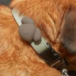 Kikkerland Kobe-tag Airtag Holder For Dog Collars